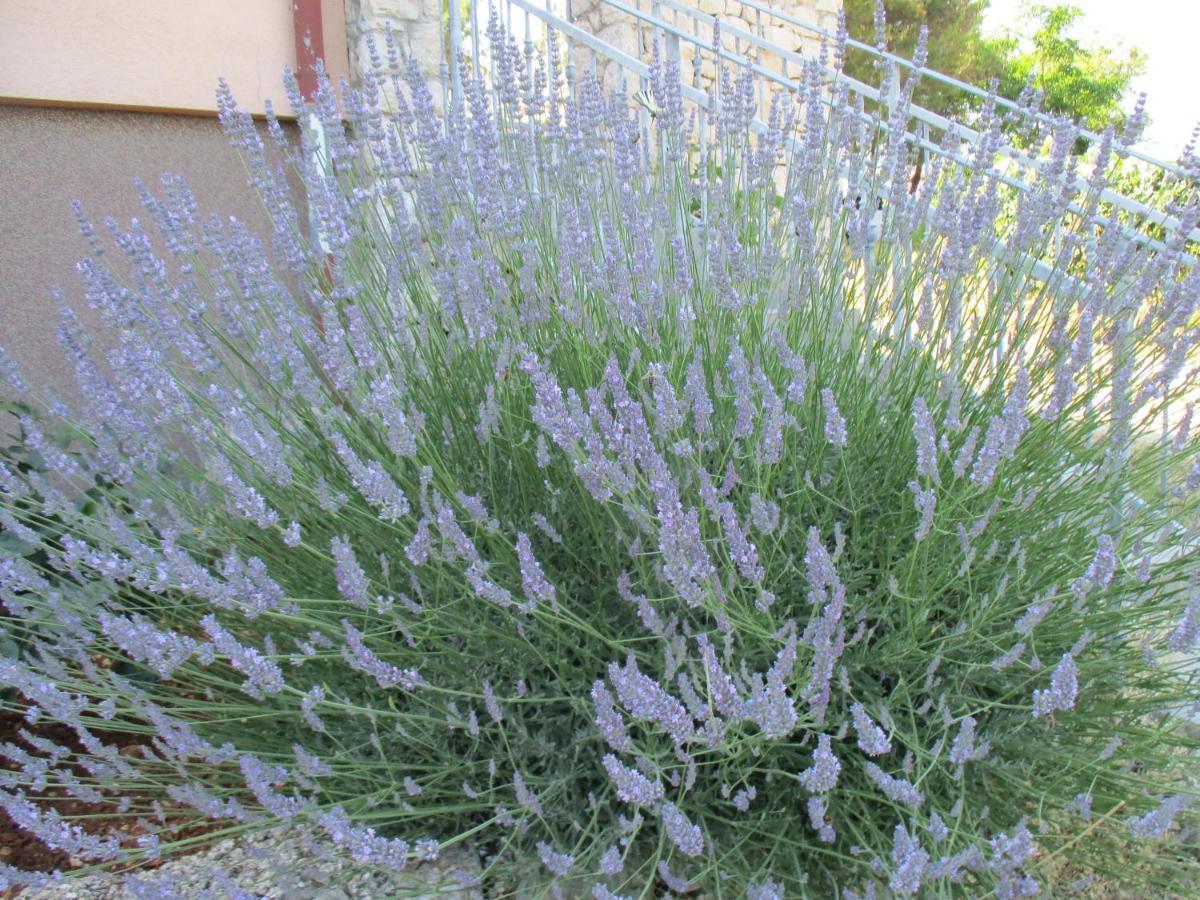 Sobe Bukaleta Loznati Bed and Breakfast Εξωτερικό φωτογραφία